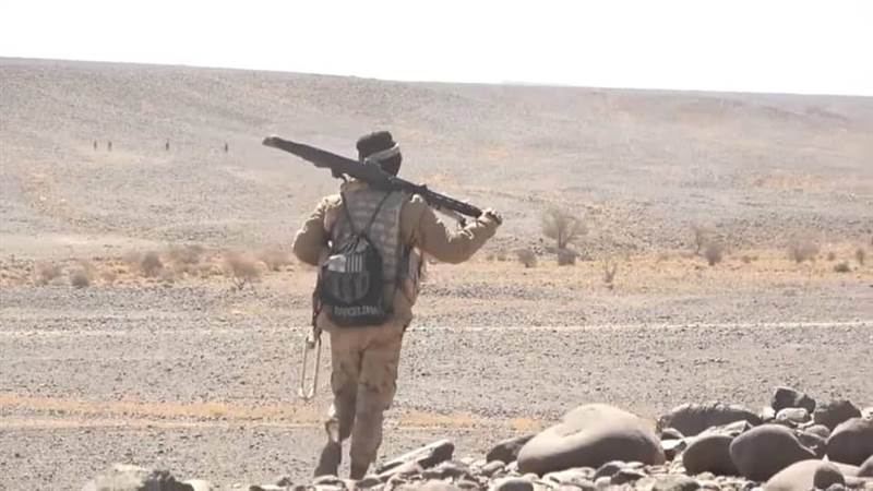 قوات الجيش تنكّل بالمليشيات الإرهابية على سفوح جبال مأرب