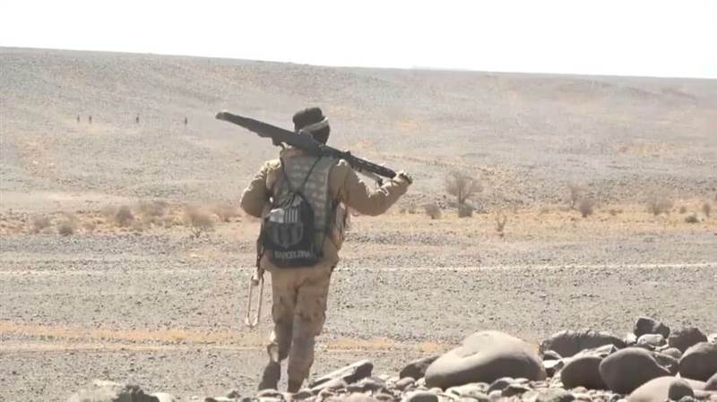 قائد عسكري: جبهات مأرب التهمت حشود وقطعان الإرهاب الحوثي
