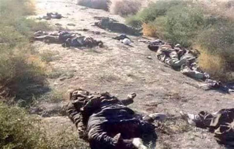 قوات الجيش تقضي على 15 نسقا حوثيا في جبهة صرواح غربي مأرب