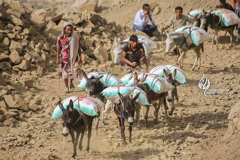 الحكومة: استمرار الحصار الحوثي لمدينة تعز خلف مأساة انسانية غير مسبوقة