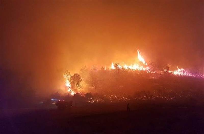 Manavgat’taki yangın felaketinin ağır bilançosu ortaya çıktı