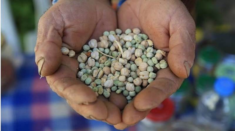 BM, Yemenli çiftçilere zararlı tohum mu gönderdi?