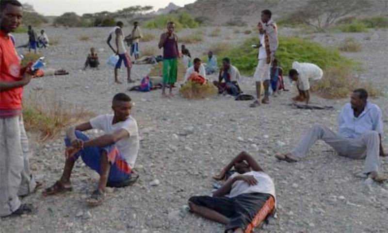 نقل 129 مهاجرا غير شرعي إلى أثيوبيا عبر مطار عدن