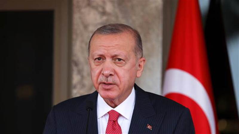 الرئيس التركي: من المتوقع أن يحقق الاقتصاد التركي نموا بمعدل يفوق 10%