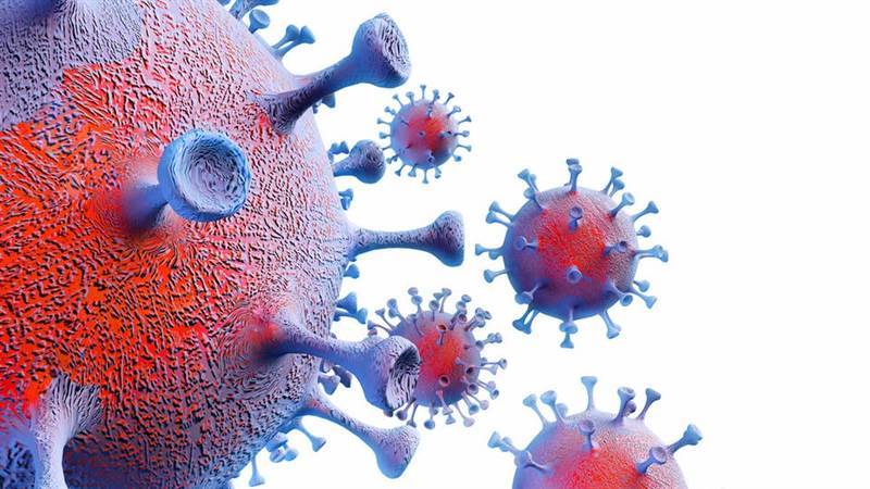 بشرى سارة.. اليابان تطور لقاحاً ضد فيروس كورونا يوفر حماية للإنسان مدى الحياة
