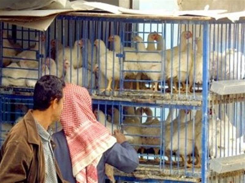 حتى مسالخ الدجاج أغلقت أبوابها.. ارتفاع أسعار اللحوم في صنعاء يفاقم معاناة المواطنين