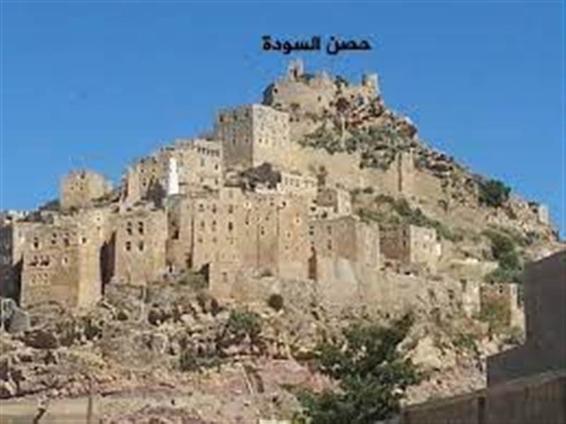 قتال عنيف تغذيه مليشيات الحوثي يخلف قتلى وجرحى بمحافظة عمران