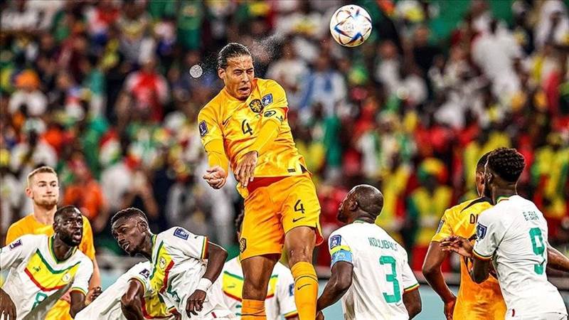 كأس العالم.. هولندا تتغلب على السنغال بهدفين دون رد