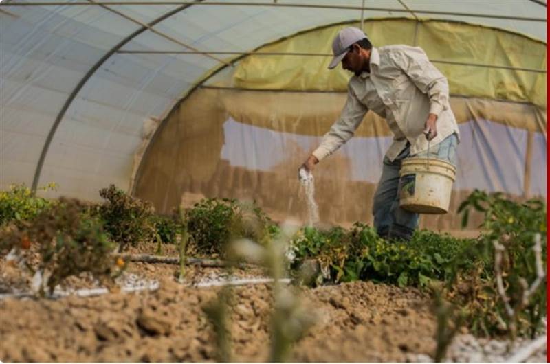Yemen'de tarımsal direncin desteklenmesi amacıyla 150 milyon dolarlık destek