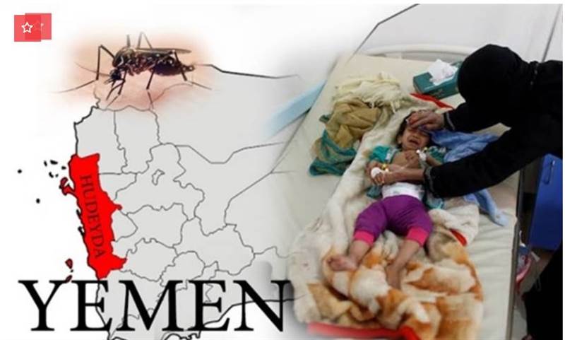 “Yemen'de her yıl 1 milyondan fazla kişi sıtma hastalığına yakalanıyor”