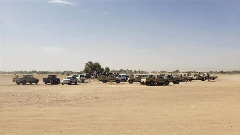 وساطة قبلية تنجح في إيقاف المواجهات القبلية في محافظة مأرب
