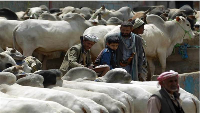 Savaşın başlangıcından bu yana en kötü ekonomik durumun yaşandığı Yemen’de halk  Kurban Bayramı'nı cepleri boş karşılıyor