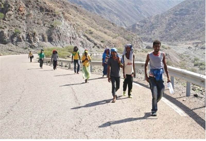Uluslararası Göç Örgütü: Geçen Temmuz ayında 9.500 Afrikalı göçmen Yemen'e giriş yaptı