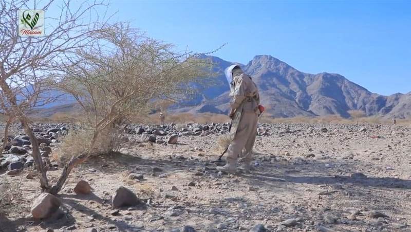 مسام يعلن نزع أكثر من 800 لغم وعبوة ناسفة خلال أسبوع واحد