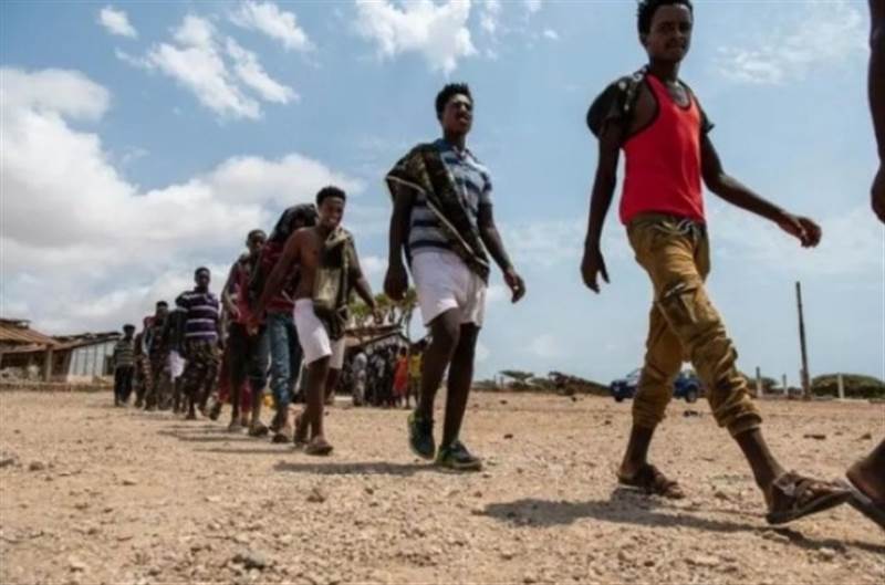 IOM:  Afrika Boynuzu ve Yemen'deki göçmenlerin hayatlarını kurtarmak için 112 milyon dolar toplama çağrısında bulundu