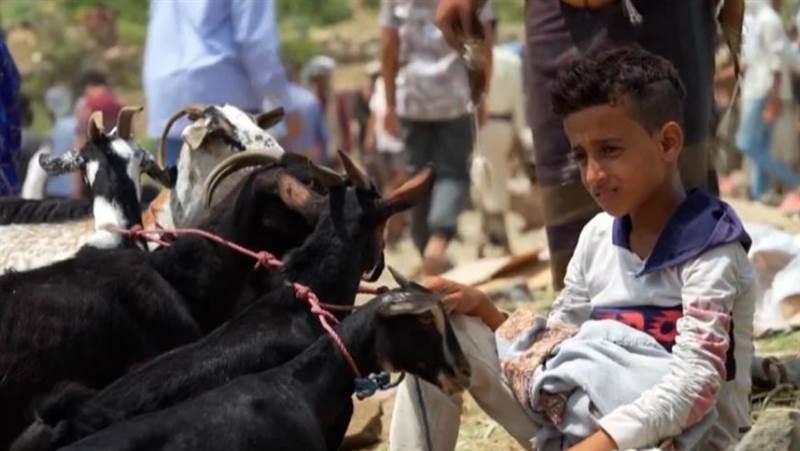 Yüksek fiyatlar Yemenlilerin Kurban sevincini kursaklarında bırakıyor