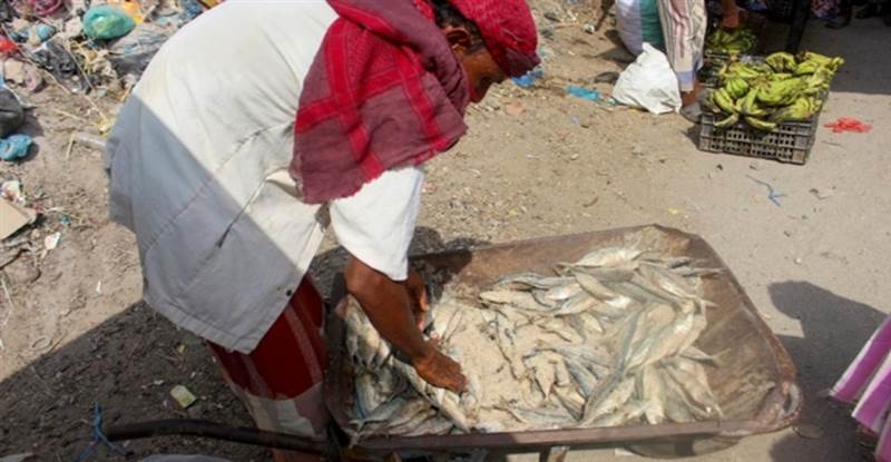 صحيفة تكشف عن تدمير منظّم للثروة البحرية في اليمن واختفاء الأسماك
