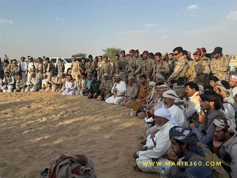 بحضور العرادة وبن عزيز.. مأرب تشهد تحالفًا جديدًا بين الحكومة والقبائل