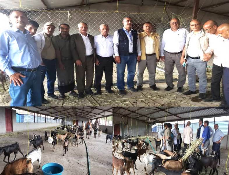 وفد من "الفاو" يطلع على إجراءات الحجر البيطري للماعز في المخا والمسراخ بتعز