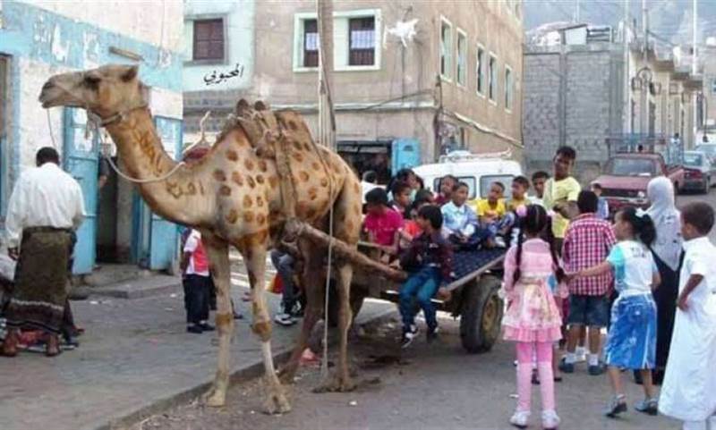 عدن تغرق في أزمة غاز حادة... ومواطنون يفكرون بالعودة إلى الحمير للتنقل