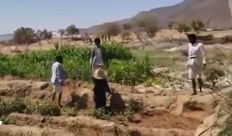 بالفيديو.. ميليشيات الحوثي تعتدي بوحشية على امرأة مسنّة أمام نجلها المعاق في صعدة