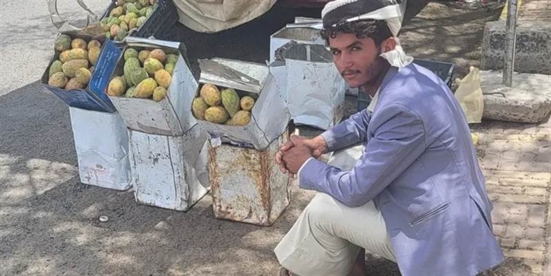 مليشيا الحوثي تصادر مصدر رزق "بائع البلس" في صنعاء الذي سبق و تعرض للسخرية من قبل ممثل حوثي قبل سنة