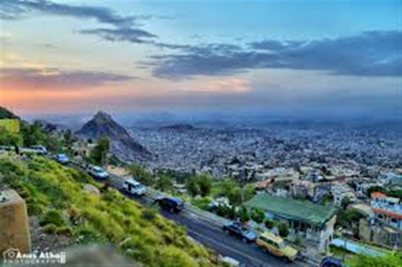 اصطياد ثعبان كوبرا قاتل في تعز.. شاب ينجو من الموت بأعجوبة ( صورة )