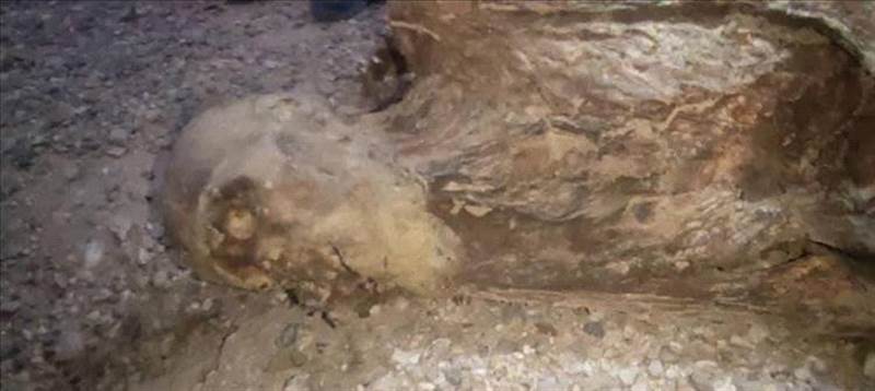 مومياء مذهلة وسط صحراء الجوف.. اكتشاف صادم أثناء تنقيب عشوائي عن الذهب