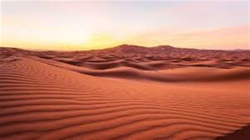 اليوم : طقس شديد الحرارة في الصحارى وأمطار رعدية على المرتفعات.. وتحذيرات من اضطراب البحر وارتفاع الموج في سواحل اليمن