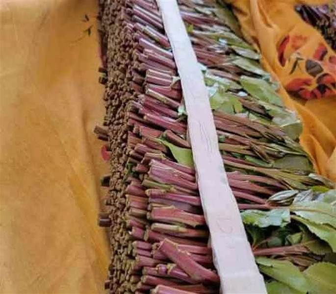 أكبر ضبطية في تاريخ اليونان.. نصف طن قات مخبأ داخل شحنة قادمة من إسرائيل