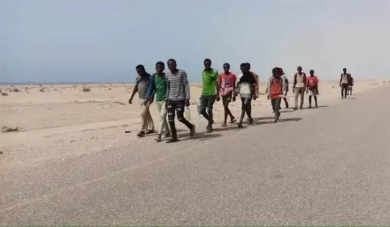 التدفق الغير مسبوق للمهاجرين إلى السواحل اليمنية ينذر بكارثة