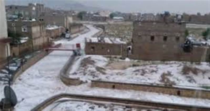 موجة صقيع تضرب 11 محافظة يمنية.. درجات حرارة تلامس التجمد وتحذيرات واسعة للمزارعين