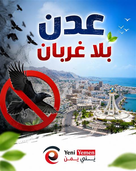 مبادرة شبابية لمكافحة انتشار الغربان في عدن